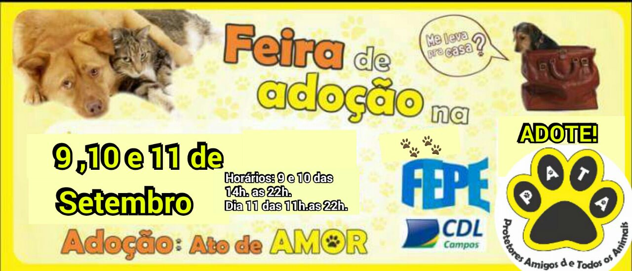 c34b59ab-4047-4443-acf6-d08af29966cf