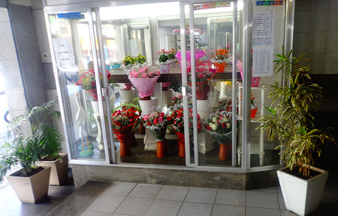 floricultura-procon