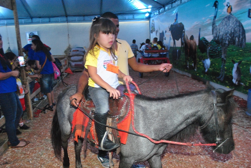 cavalinho 8