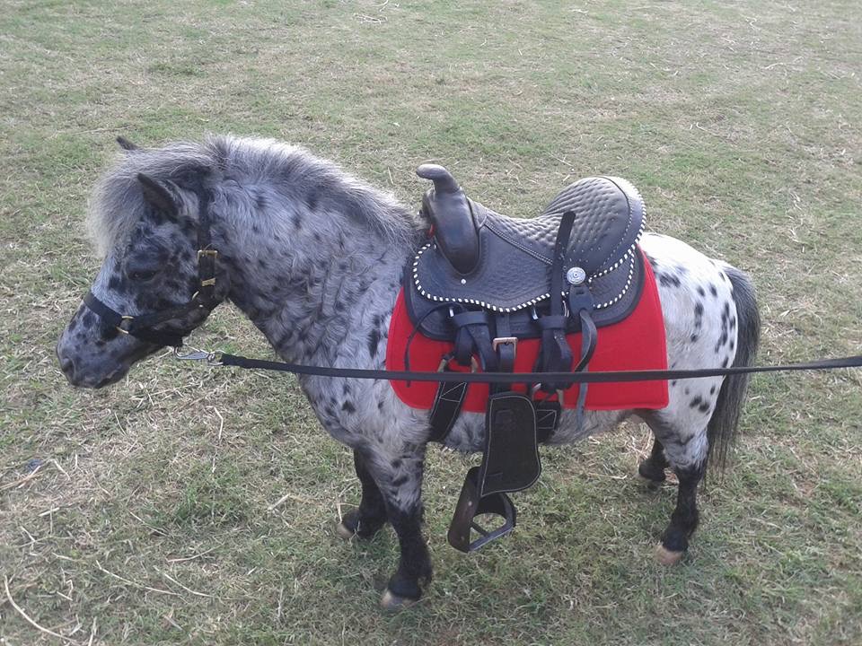 ffa60144-1915-44c2-8704-065ea358c648