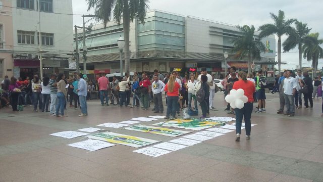 movimento113