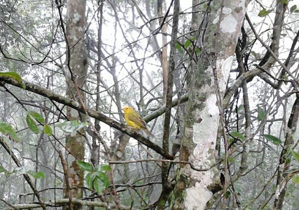 photos (16)