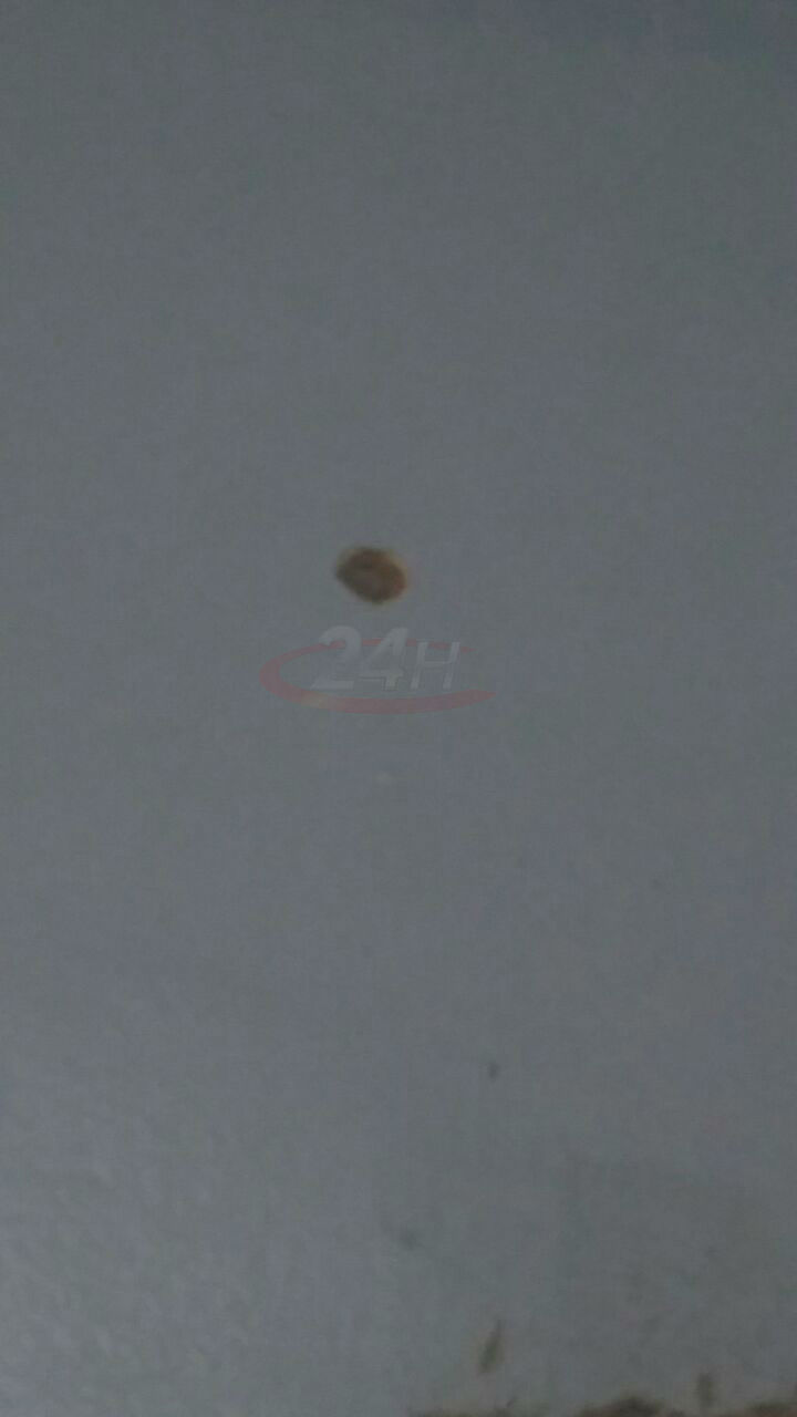 disparo12