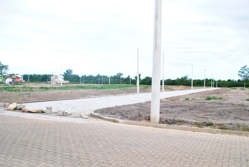 lote-5