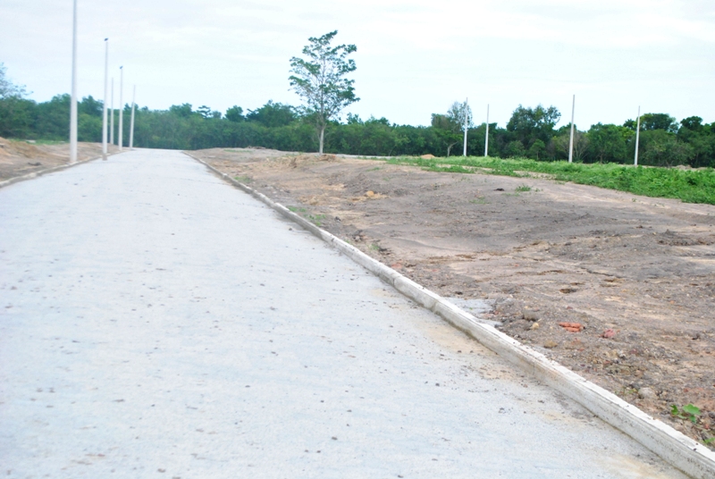 lote-7