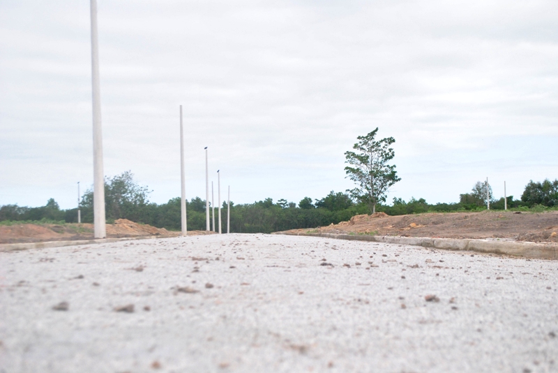 lote-8