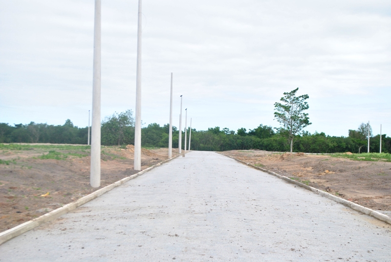 lote-9