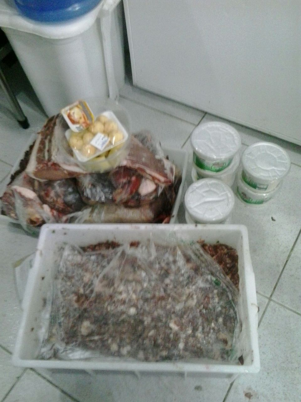 carnes14