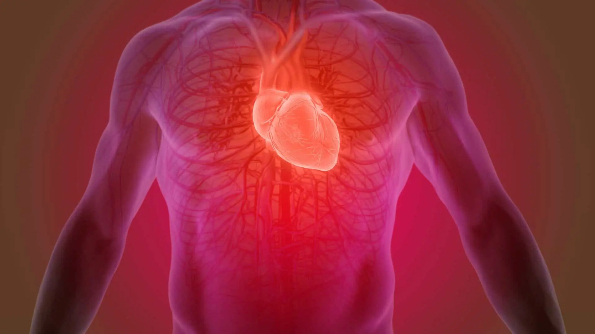 A cada 72 segundos, uma pessoa morre por doença cardiovascular no país