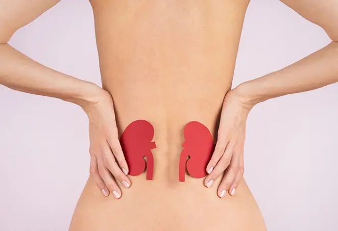 Estudo alerta para subdiagnóstico da doença renal crônica no Brasil