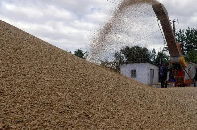 Produção brasileira de grãos deve aumentar apesar do El Niño