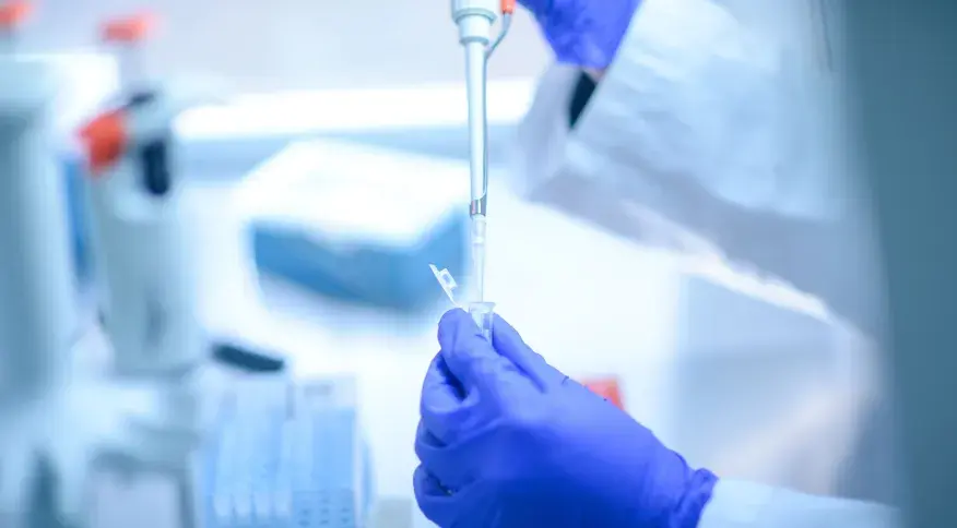 Doença de Newcastle: protocolos sanitários são cumpridos em SC
