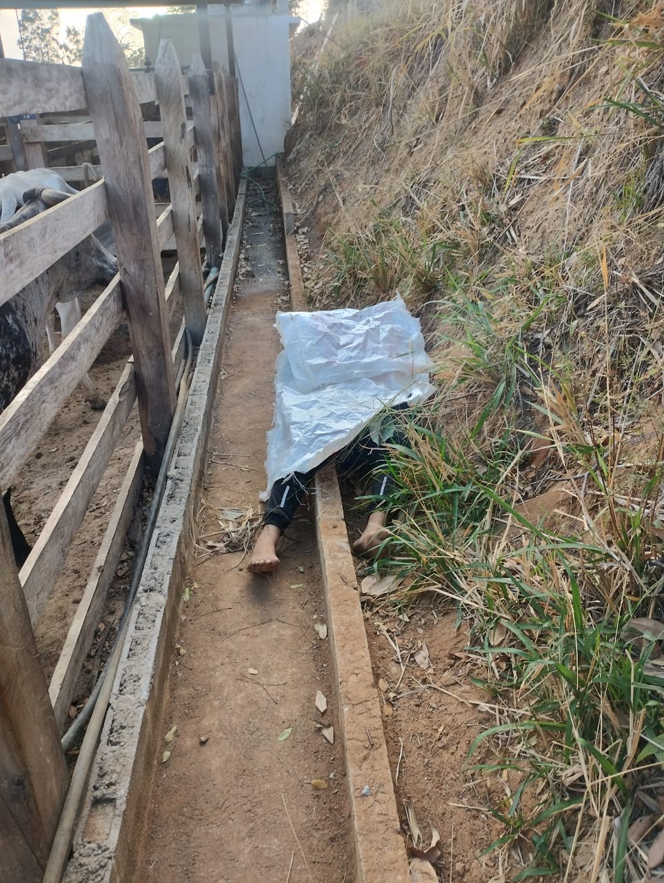 Homem é assassinado dentro de curral