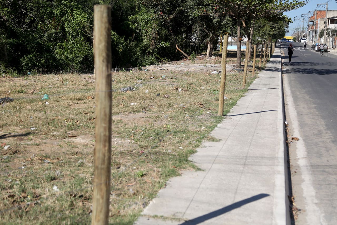 Antigo ponto de descarte irregular de lixo vira bosque no Parque Rio Branco