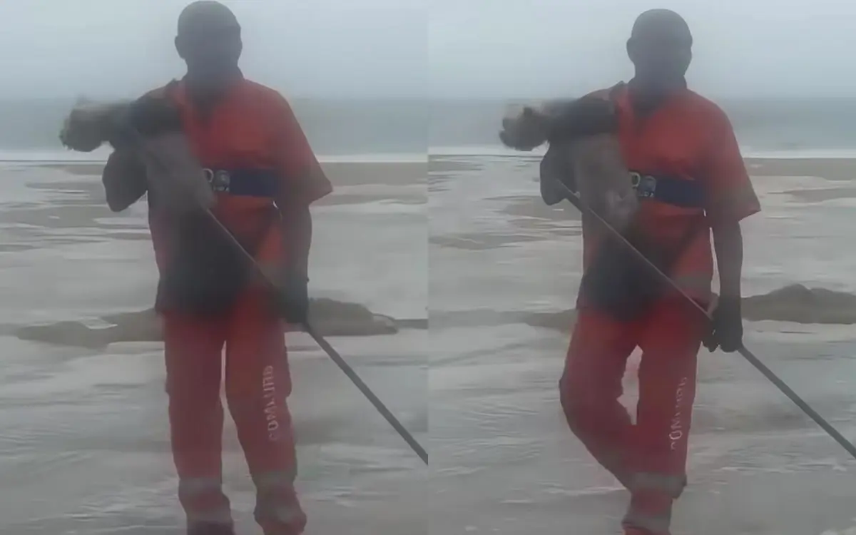 Gari salva cachorro levado pelo mar durante ressaca em Copacabana
