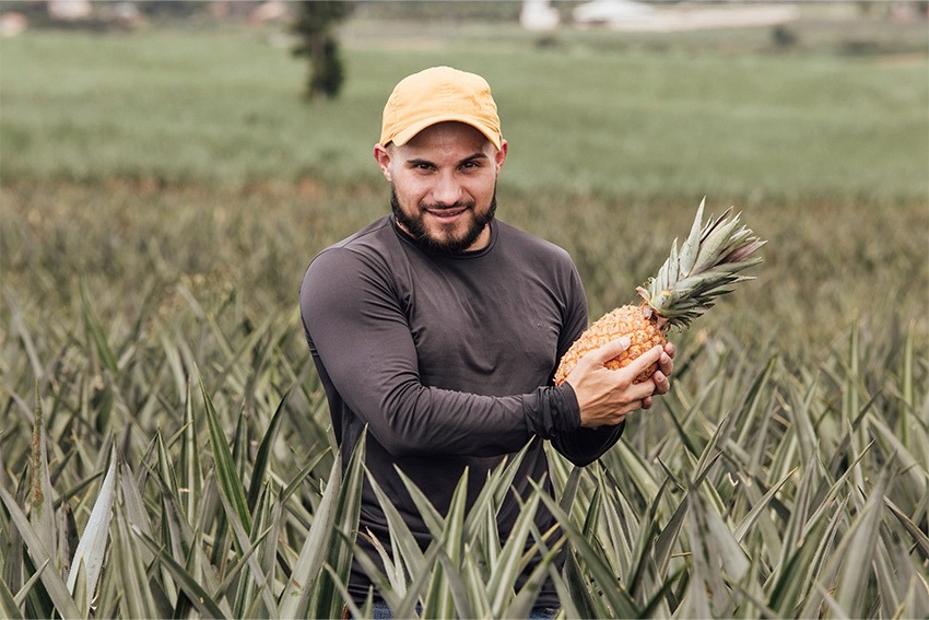 Agricultura mais forte impulsiona desenvolvimento e amplia oportunidades em São Francisco de Itabapoana