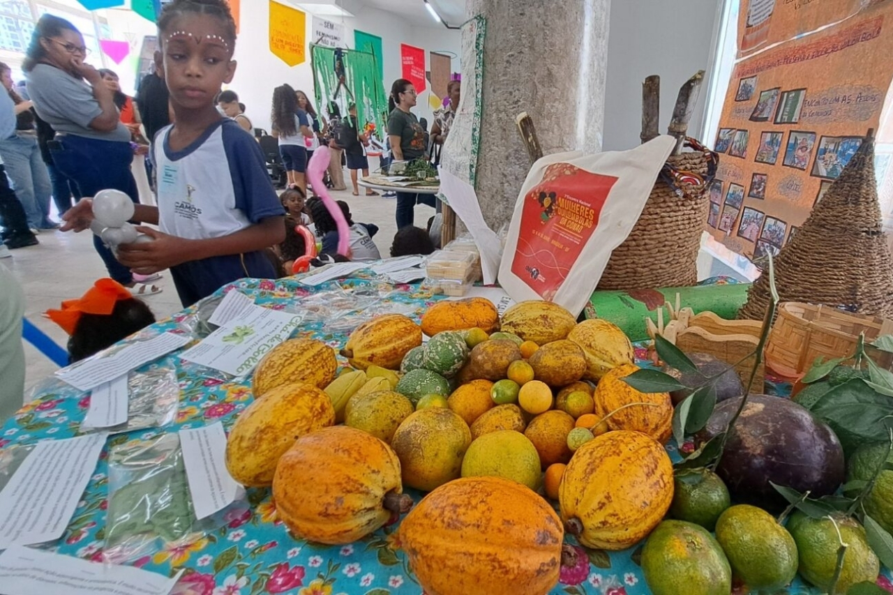 Seduct reúne orientações e habilidades em publicação para fortalecer Educação Escolar Quilombola