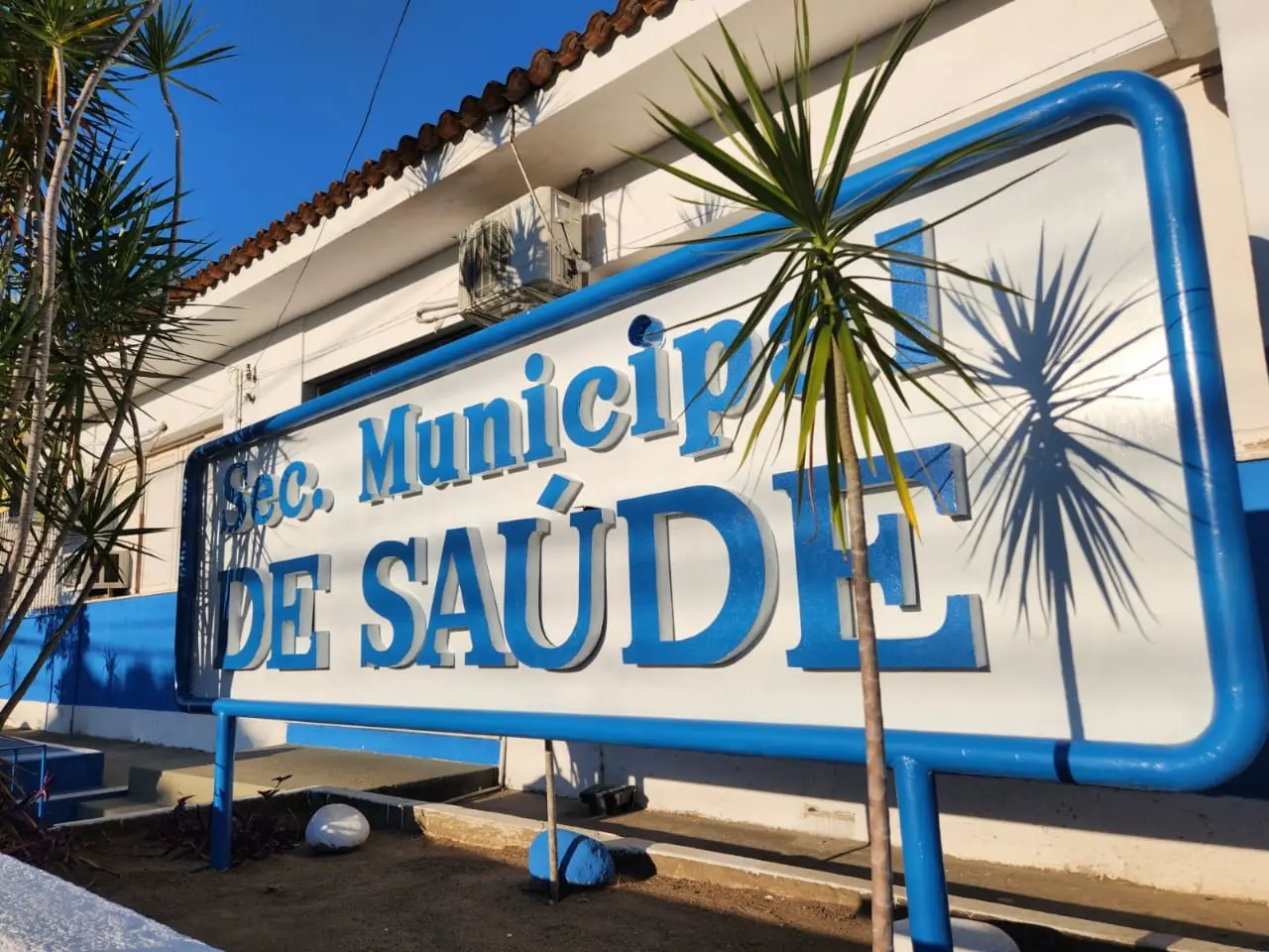 Dengue e febre maculosa: sintomas podem ser semelhantes, mas contexto e evolução ajudam a diferenciar as doenças