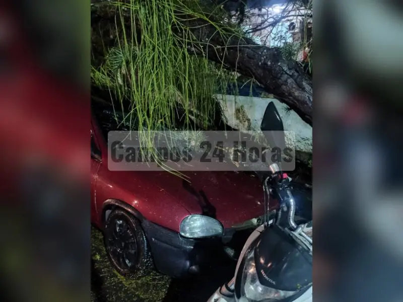 Árvore cai sobre carro estacionado em frente a hospital na Pelinca; vídeo