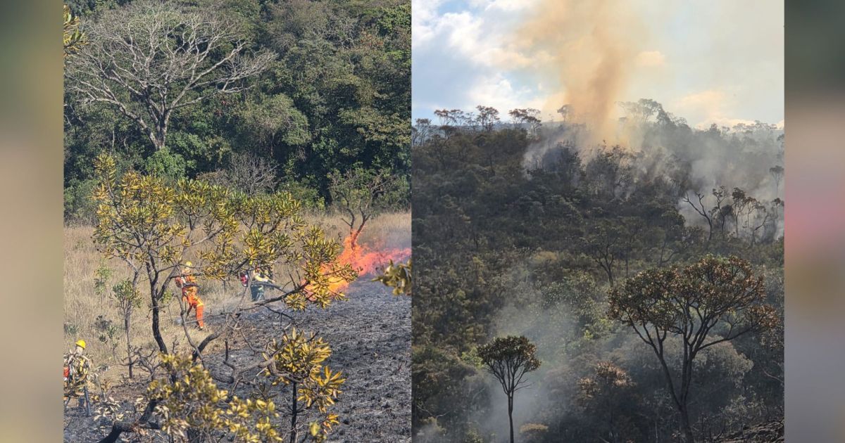 BH registra segundo incêndio após 10 dias na região da Serra do Gandarela