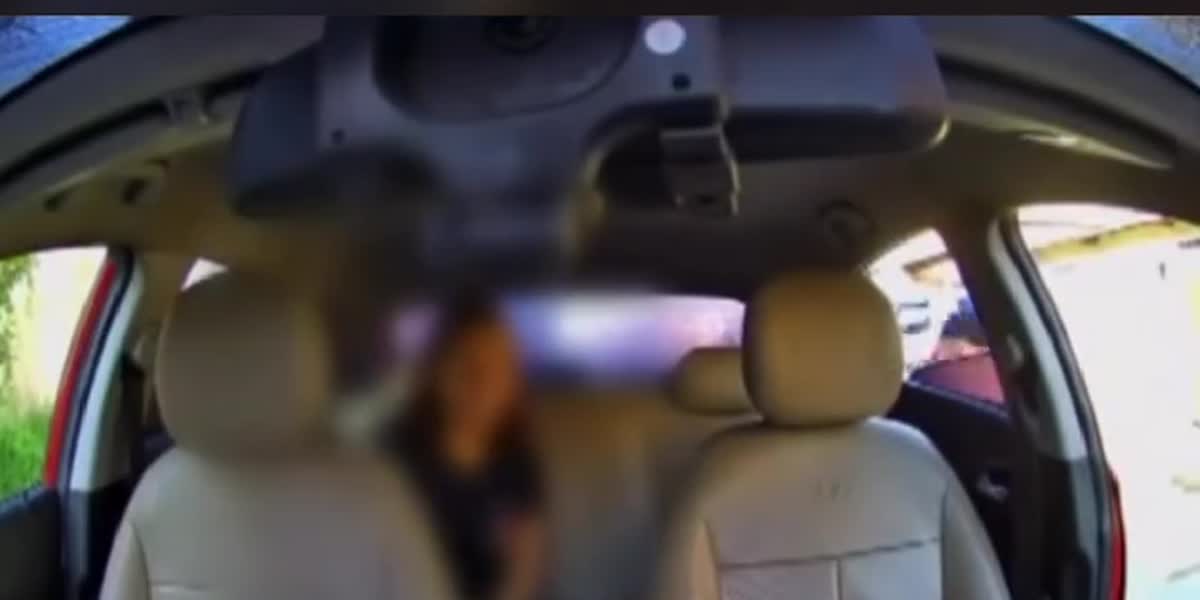 Interior do carro durante a parada para recolher cachorro desaparecido