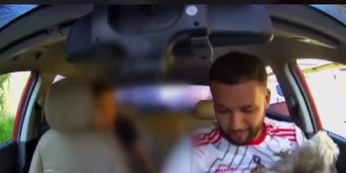 Motorista segura cachorro reencontrado dentro do carro