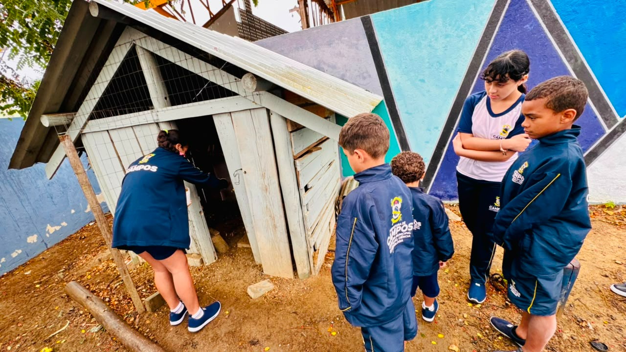 Projeto Eco Aves transforma galinheiro em espaço de inclusão e aprendizagem na Escola Getúlio Vargas