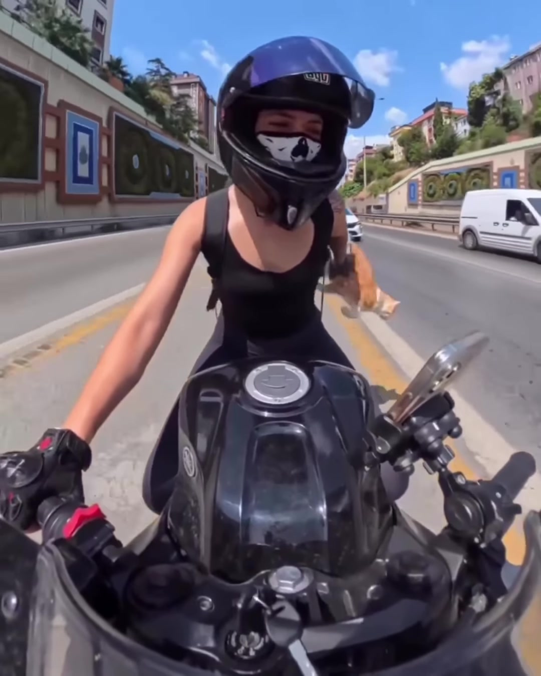 Gato cai de mochila durante passeio de moto em avenida movimentada