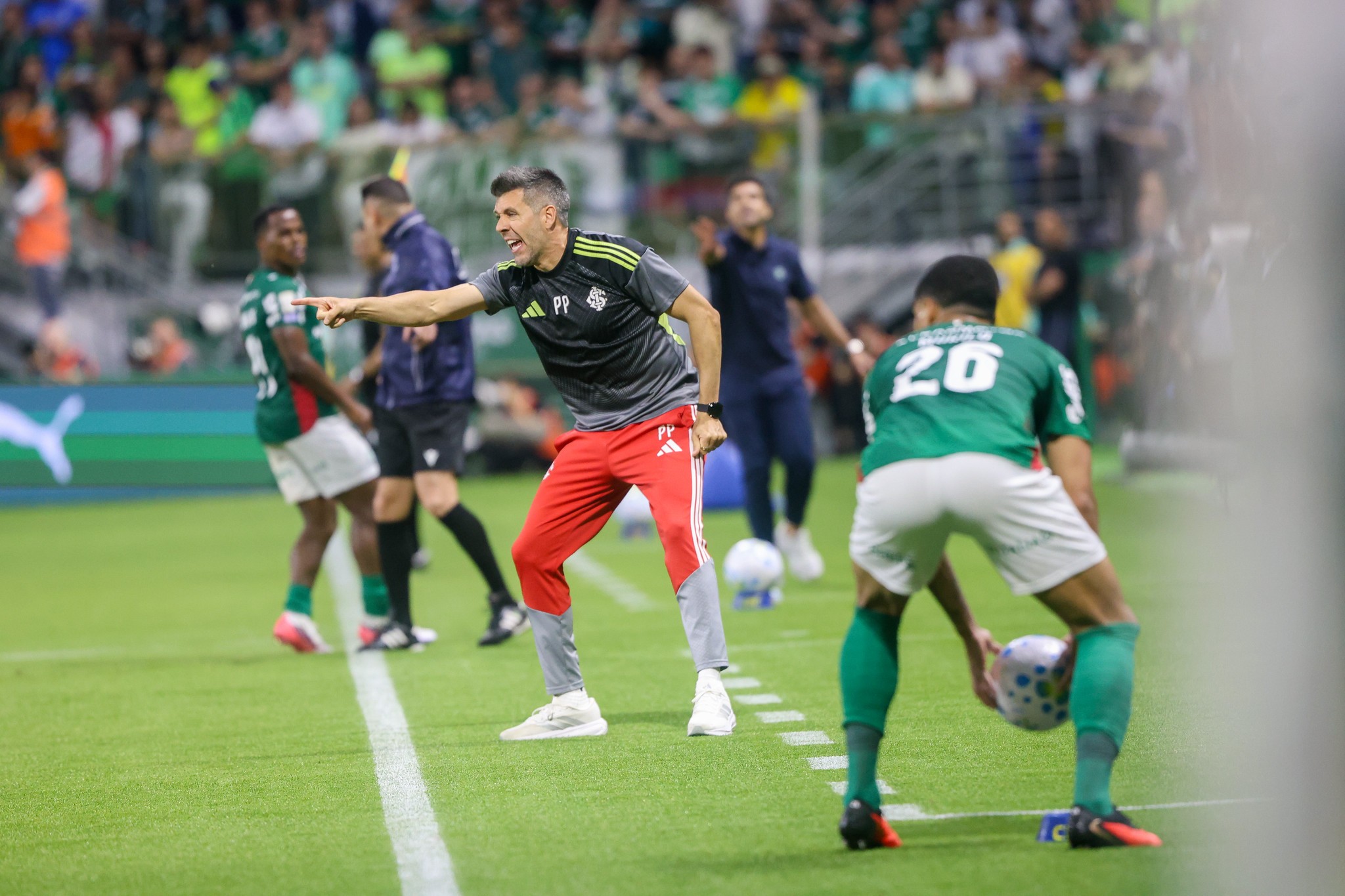 Pezzolano valoriza empate do Inter, mas lamenta chances perdidas: "Sabor amargo"
