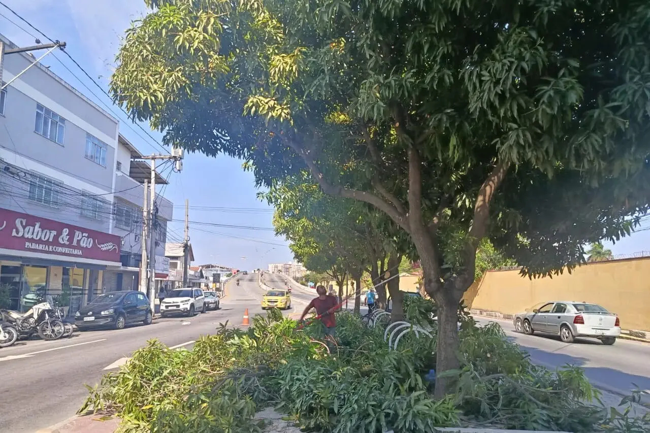 Secretaria de Meio Ambiente promove manutenção na arborização da Av Tancredo Neves