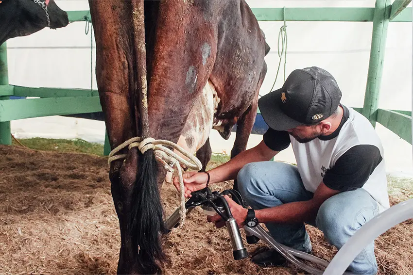 41ª ExpoAgro de São Francisco confirma mais uma edição do Concurso Leiteiro