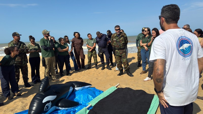 SJB capacita equipes para atendimento a encalhes de mamíferos marinhos