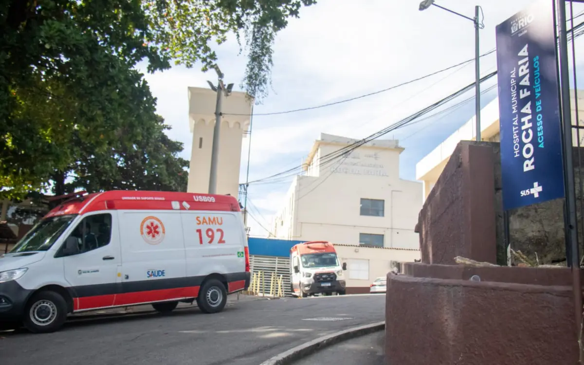 Menina morre ao ser atacada por Pitbull
