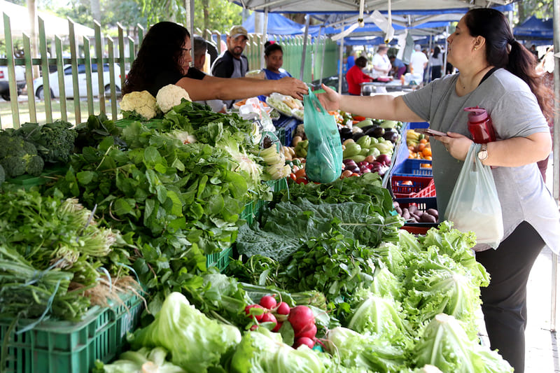 Feiras da Agricultura Familiar acontecem todos os dias em até quatro pontos da cidade