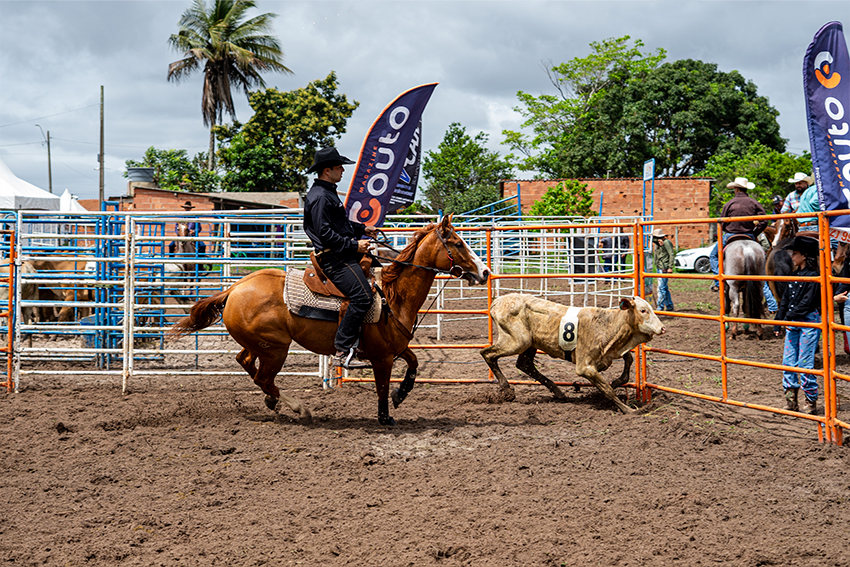 Ranch Sorting une velocidade e estratégia na 41ª Expoagro