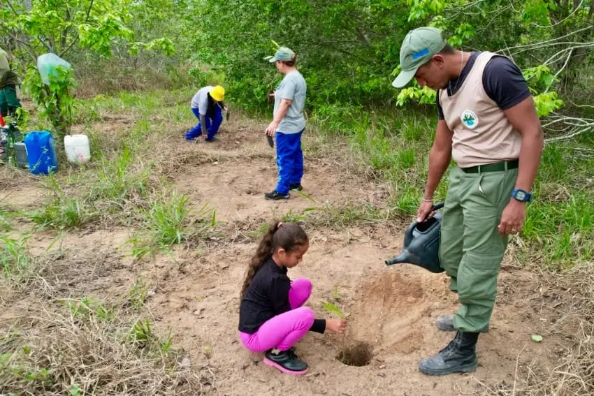 Dia da Árvore é comemorado com plantio de mudas na Estação ecológica de Guaxindiba