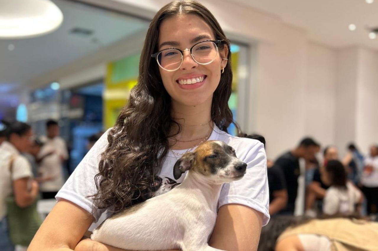 CCZ realiza feira de adoção e vacinação antirrábica neste sábado e domingo no Partage Shopping