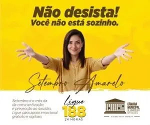 Publicidade