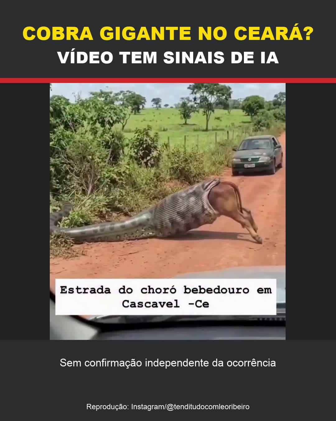 Vídeo de ‘cobra gigante’ em Cascavel tem fortes sinais de inteligência artificial
