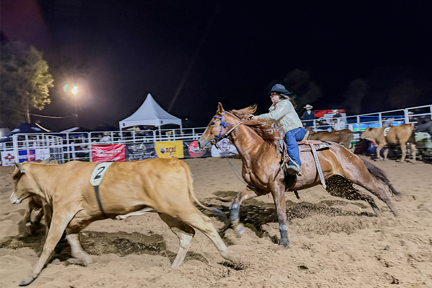41ª ExpoAgro: Ranch Sorting com inscrições abertas até dia 15 de setembro