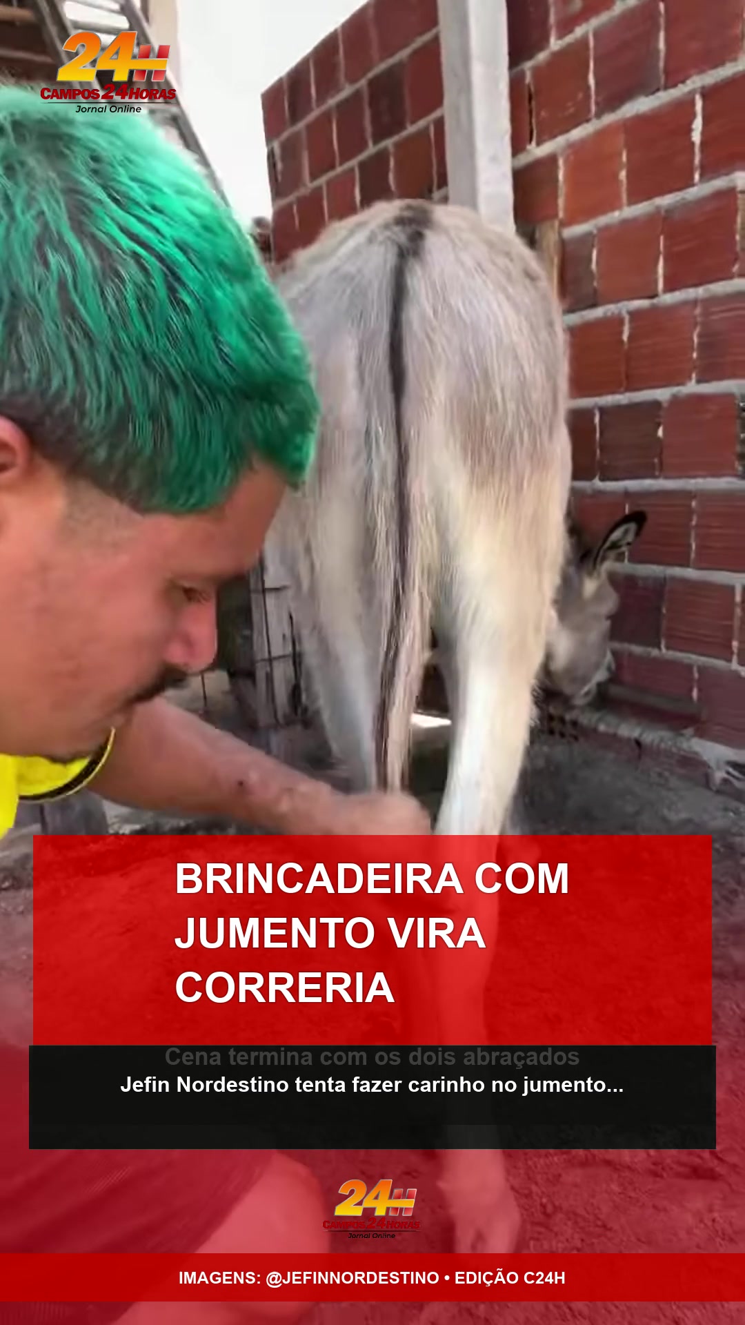Jefin Nordestino e jumento protagonizam cena divertida