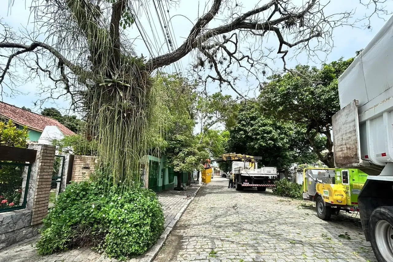 Secretaria de Meio Ambiente realiza poda de árvores em rua do Centro