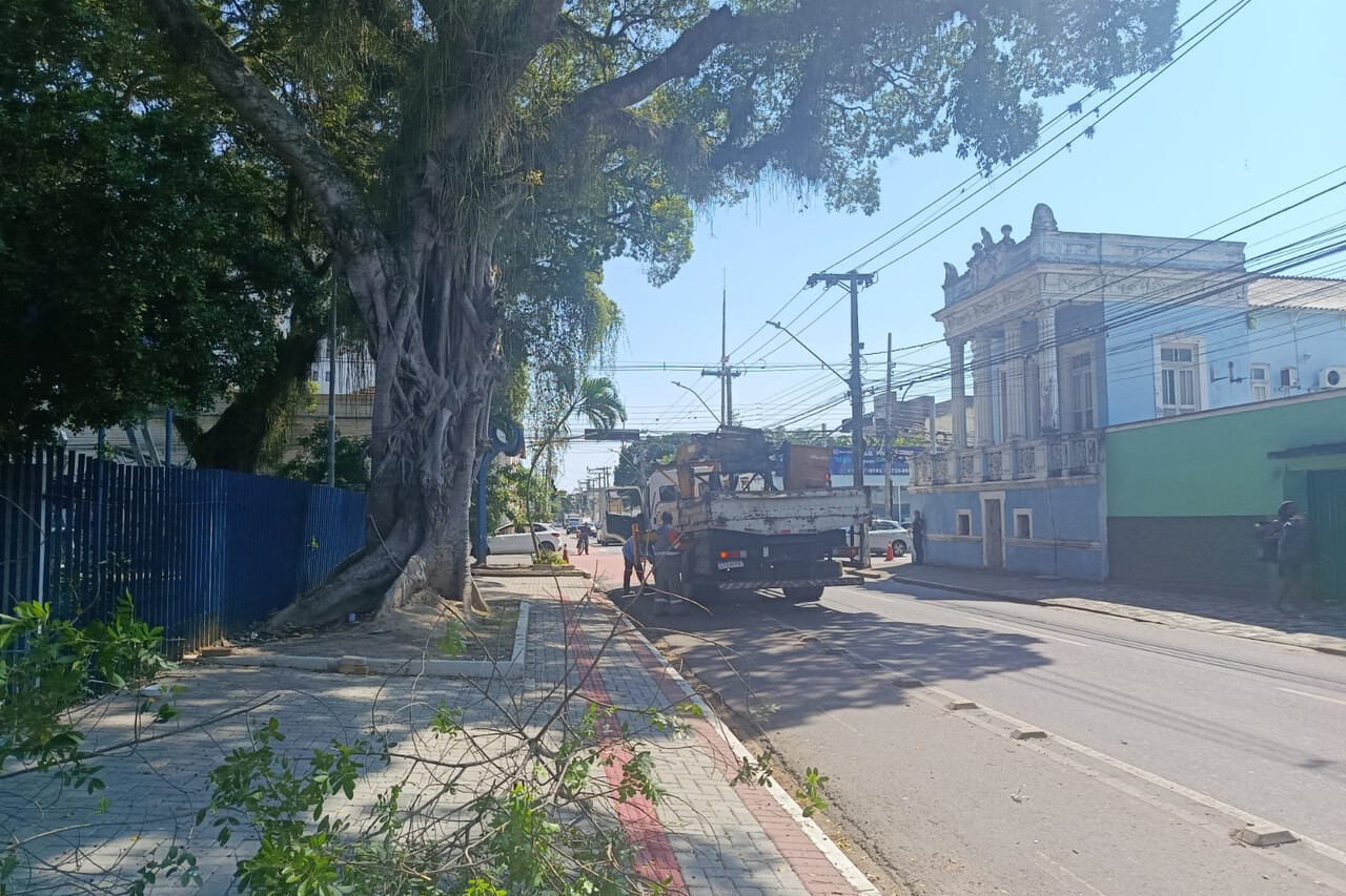 Poda de árvores reforça manutenção e segurança no entorno do Jardim São Benedito